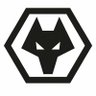 Wolverhampton Tรผrkiye ๐น๐ท's profile picture