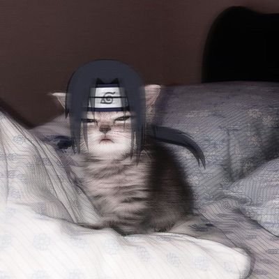 Afsekk1's profile picture