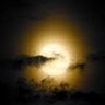 月夜見 profil fotoğrafı