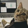 The Money Language's profile picture
