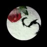 Фото профиля زهور الريف