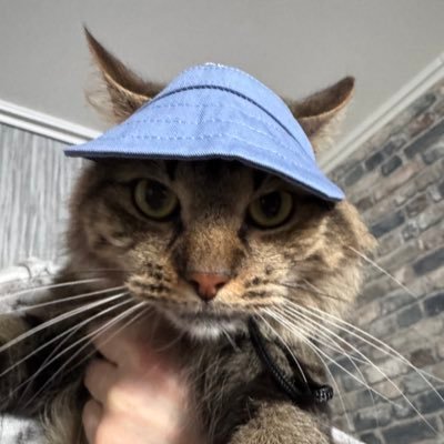 Akolibed's profile picture