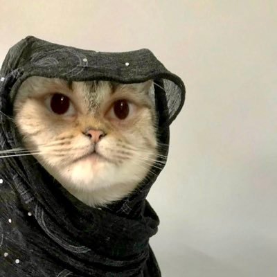 behriqazak's profile picture