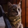 Winston's profile picture