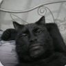 Profilbild von Alex