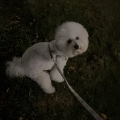 CLY037's profile picture