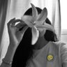 𝑇𝑤𝑒𝑛𝑡𝑦 𝑇𝑤𝑜's profile picture