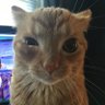 Profilbild von Kira