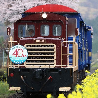 MARyusuge1's profile picture