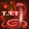 💥T.N.T💥 profil fotoğrafı