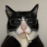 M's profile picture