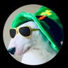 IrishGoat's profile picture