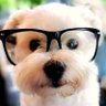 ケイシ タチバナ profil fotoğrafı