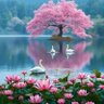 Sanjay Sutar Vishvakarma profil fotoğrafı