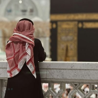 احمد العولقي's profile picture