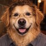 Profilbild von Andrew McNeice