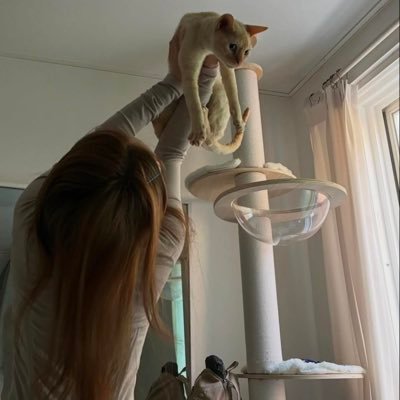 小熊日记's profile picture