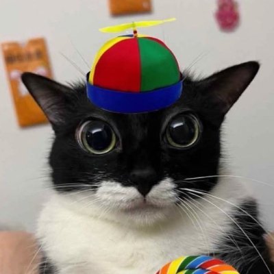 Shape's profile picture