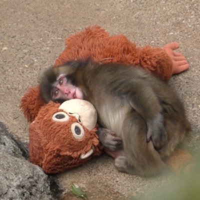 あつ's profile picture