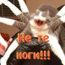 Фото профиля Daddy Wrong Legs
