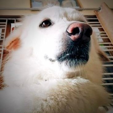 Snow Away ชน์❄'s profile picture
