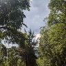 G_Nature profil fotoğrafı