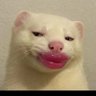 Profilbild von Princex