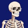 1P BiFusse's profile picture