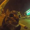 Jussindahood profil fotoğrafı