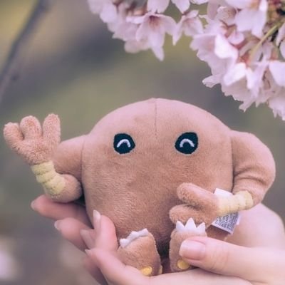 rkmn696969's profile picture