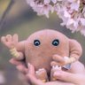 たかのりとサワムラー👣's profile picture
