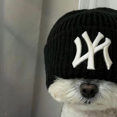 xjx_918's profile picture