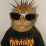 wuewueuwU's profile picture