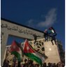 Ali Baniissa's profile picture