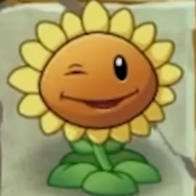 n's profile picture