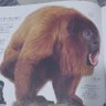 ワガママ's profile picture