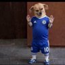Hubert 的头像
