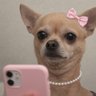 Aline - Justchecking profil fotoğrafı