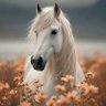 #جودقحطان 🕊️'s profile picture