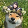 Profilbild von おちゃ