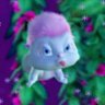 Profilbild von ꜰᴏᴄᴜꜱ_