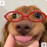 Profilbild von Tony