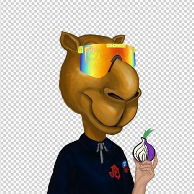 camel_cabal's profile picture