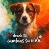 Almas De La Calle's profile picture