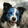 Profilbild von Paw Revere