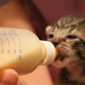 ROCK 🌙🐈 profil fotoğrafı
