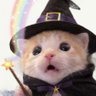Sir Bartholomew Rattonius The 3rd !!'s profile picture