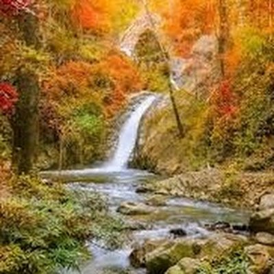 Elena_Morris7's profile picture