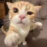 styx's profile picture