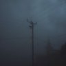 Фото профиля Mujistic01